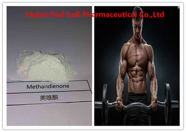 China Methandrostenolone Raw Steroid Powders CAS 72-63-9 GMP Certification supplier