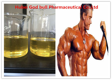 China Boldenone Undecylenate Raw Steroid Powders , Bodybuilding Anabolic Steroid Hormones supplier