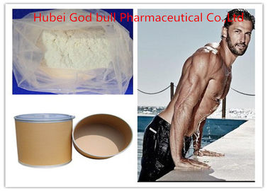 China 50-41-9 Clomid Anti Estrogen Steroids , SERM White Raw Steroid Powder supplier