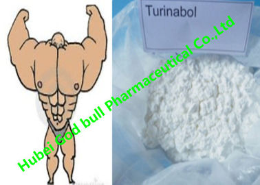 China Oral Turinabol powder anabolic androgen steroids Reduce SHBG muscle Cycle supplier