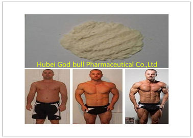 China Trenbolone Base Healthy Pharmaceutical Grade Anabolic Steroids Growth Hormone supplier