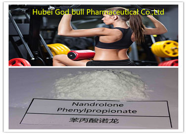 China Nandrolone Phenylpropionate 62-90-8 Powder Bulking Cycle Steroid Fitness supplier
