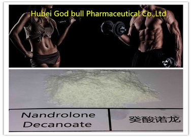 China 360-70-3 Deca Durabolin Steroid , Medical Muscle Building Anabolic Steroids supplier