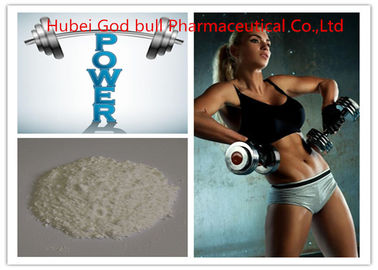 China 58-20-8 Body Building Testosterone Anabolic Steroid , Healthy Testosterone Cypionate Steroid supplier