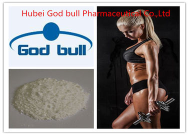China Sustanon 250 Testosterone Anabolic Steroid , 99% Pure Injectable Anabolic Steroids supplier