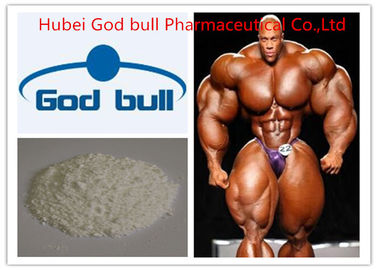 China Primobolan Depot Androgenic Anabolic Steroids , High Purity Body Building Steroids supplier