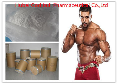 China Testosterone Isocaproate Safe Anabolic Steroids For Muscle Growth CAS 15262-86-9 supplier