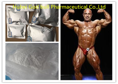 China Boldenone Acetate Steroid Raw Powder Source For Muscle Growth CAS 2363-59-9 supplier