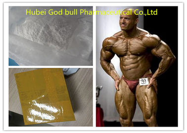 China Bodybuilding Testosterone Anabolic Steroid , Andropen 275 White Raw Steroid Powder supplier
