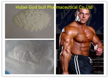 China Testosterone Acetate Pharmaceutical Grade Anabolic Steroids Muscle Gain 1045-69-8 supplier