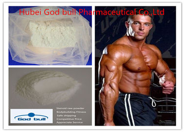 China Arimidex Anti Estrogen Medication Anabolic Steroids For Bodybuilding 120511-73-1 supplier