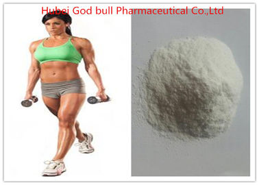 China Acomplia Rimonabant Weight Loss Steroids , CAS 168273-06-1 Fat Shredding Steroids supplier