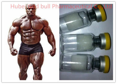 China Epitalon Peptide Synthetic HGH Anabolic Steroids Bodybuilding CAS 307297-39-8 supplier