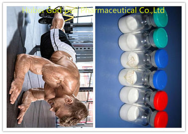 China GnRH Gonadorelin HGH Anabolic Steroids , CAS 33515-09-2 White Raw Steroid Powders supplier