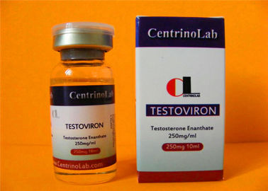 China Safest Testosterone Enanthate Injectable Steroids 315-37-7 Testoviron 250 mg supplier