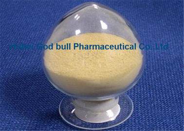China Milk Thistle Silymarin Extract Powder Healthy For Immunity Enhancement supplier