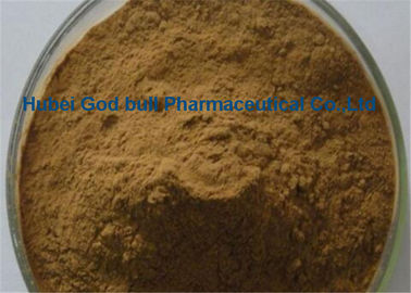 China Natural Herbal Extract Powder Brown Fine Panax Notoginseng Root Extract supplier