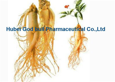 China Light Yellow Herbal Extract Powder , Medical Grade Panax Ginseng Root Extract supplier