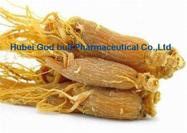 China Nourishing Herbal Extract Powder Light Yellow Panaxoside Red Ginseng Extract supplier