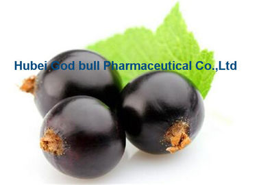 China Dark Purple Blackcurrant Extract Ribes Nigrum L For Anti Aging CAS 84082-34-8 supplier
