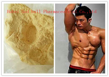 China 99% Purity Trenbolone Steroid Cycle / Trenbolone Acetate Yellow Color , CAS 10161-34-9 supplier