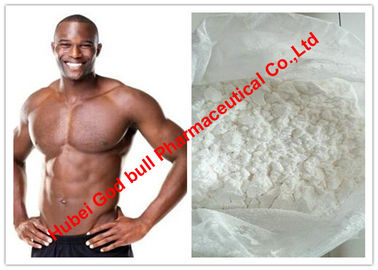 China Testosterone Undecanoate / Low Testosterone Anabolic Steroid With 99% Purity , White Powder supplier