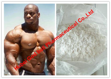 China White Powder Muscle Gain Testosterone / Androgenic Anabolic Steroids MF C30H48O3 supplier