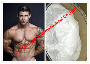China Testosterone Based Steroids / Mestanolone Ace For Muscle Building CAS 521-11-9 supplier