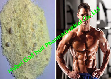China Trenbolone Enanthate Raw Hormone Powders tren 100 Bulking and Cutting Phases supplier