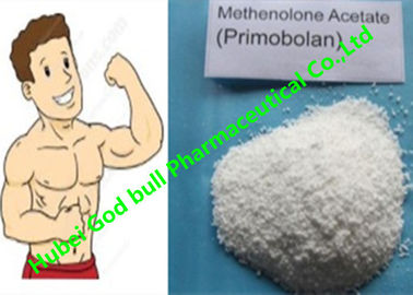 China Methenolone Acetate Androgenic Anabolic Steroids 207-097-0 Muscle Primobolan supplier