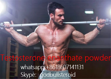 China testosterone enanthate raw steroid powder white testosterone injection supplier