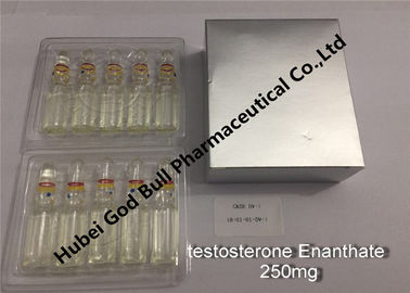 China testosterone enanthate Injectable Anabolic Steroids injection 250mg/ml 1ml/vial super quality supplier