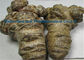 Natural Herbal Extract Powder Brown Fine Panax Notoginseng Root Extract supplier