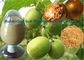 Fructus Momordica Grosvenori Swingle Fruit Extract Powder CAS 88901-36-4 supplier